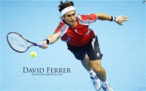 David Ferrer